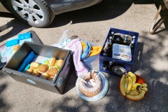 1000029098 1000029098